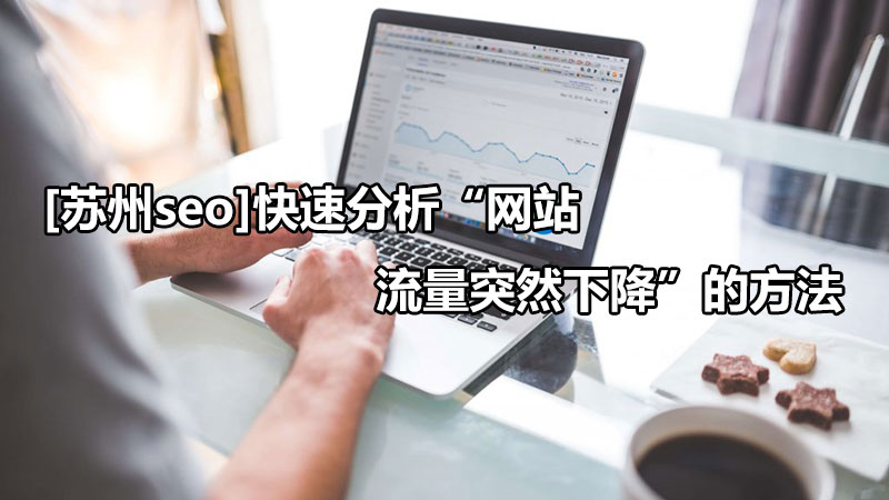 [苏州seo]快速分析“网站流量突然下降”的方法